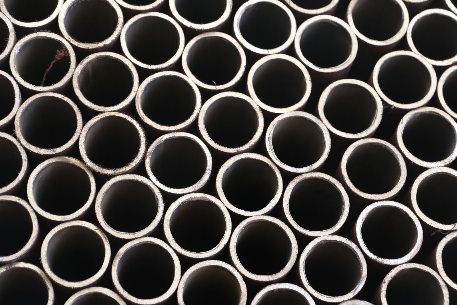 545A1104.JPG 545A1104.JPG